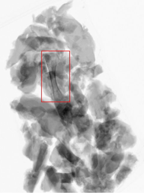 Poultry production X-ray with a red outline around a bone-related review region.