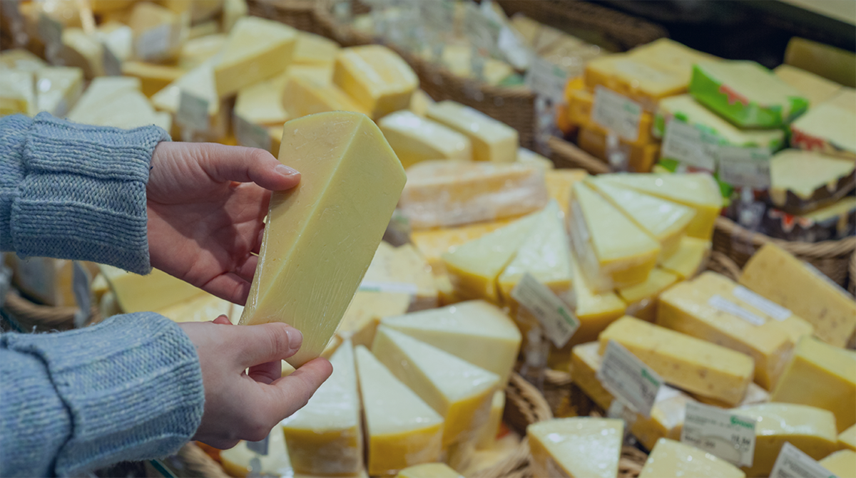 Assorted cheese products in blocks, wedges, and packaged formats