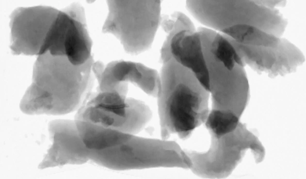 X-ray image of poultry pieces with a small bone fragment in one piece