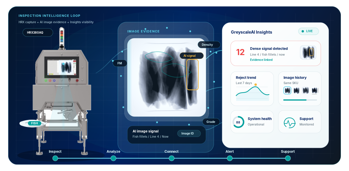 GreyscaleAI platform flow from an HRX inspection machine to X-ray image evidence, AI analysis, Insights visibility, alerts, and support.
