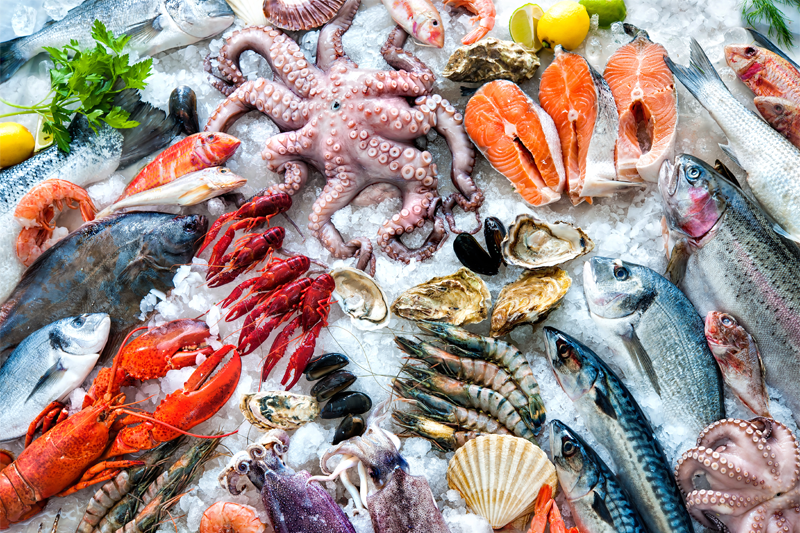 Seafood products prepared for inspection