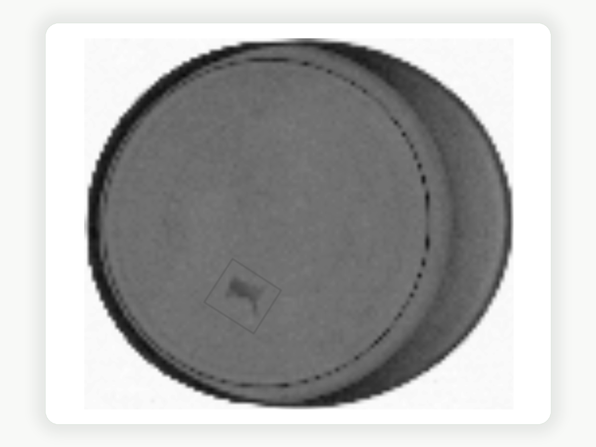 X-ray image of a seafood can with a small bone fragment region marked for review.
