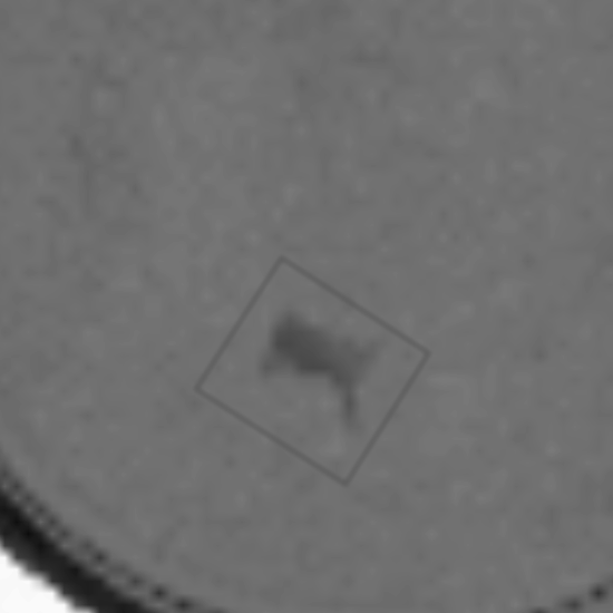 Magnified x-ray crop of the highlighted bone fragment region in a seafood can.